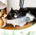 Juguete Para Gato, Pescado Movimiento Recargable Interactivo