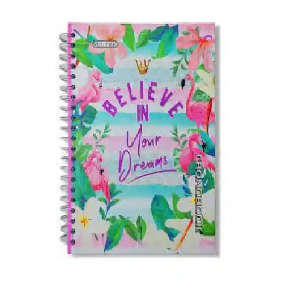 Cuaderno Argollado Grande Cuadriculado Pappyer (diseños Femeninos)