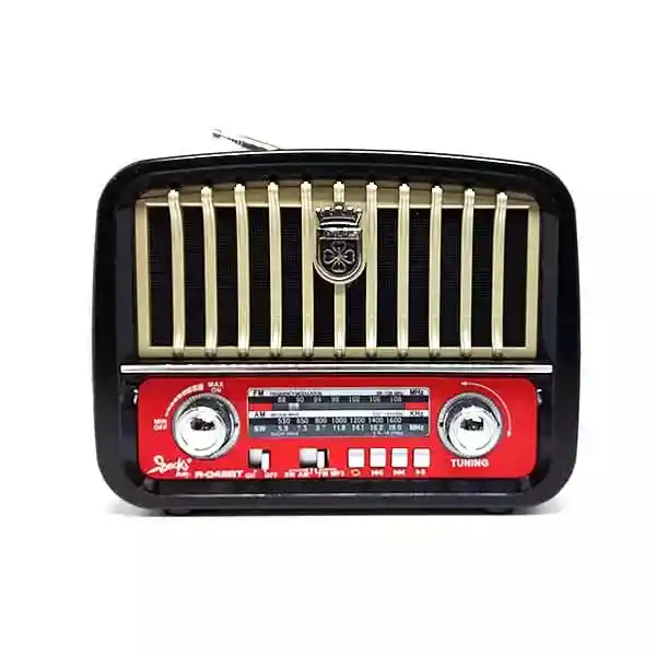 Radio Portatil De Am/fm Con Reproductor De Mp3 / Usb / Sd / Tf