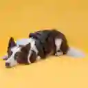 Arnés De Lomo Mayo Maskyno Verde - Café Talla S