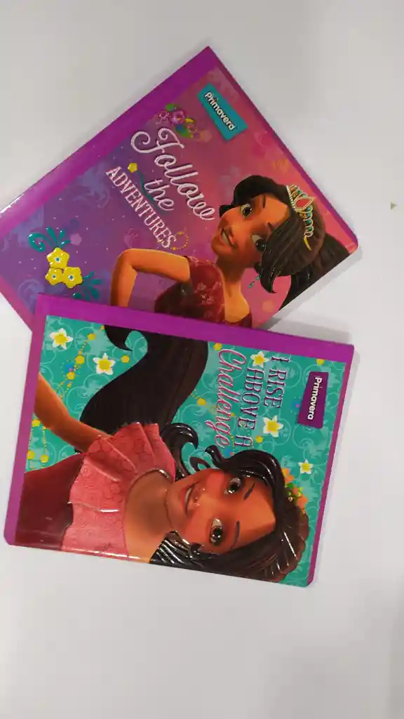 Cuaderno Cosido Cuadriculado Elena De Avalor X 100 Hojas De 19*24_primavera