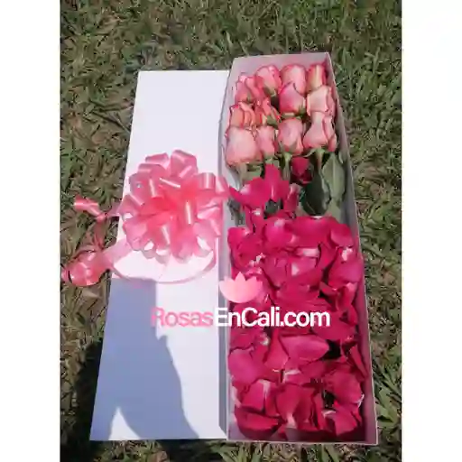 Caja 12 Rosas
