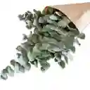 Paq. Eucalipto