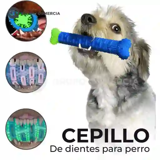 Cepillo Dientes Perros Canino Juguete Goma Anti Caries