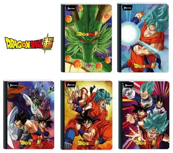 Cuaderno Cosido Ferrocarril Doble Linea Norma Stickers- 100 Hojas Hombre