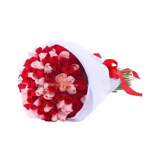 Rosas Rojas Y Rosadas X50