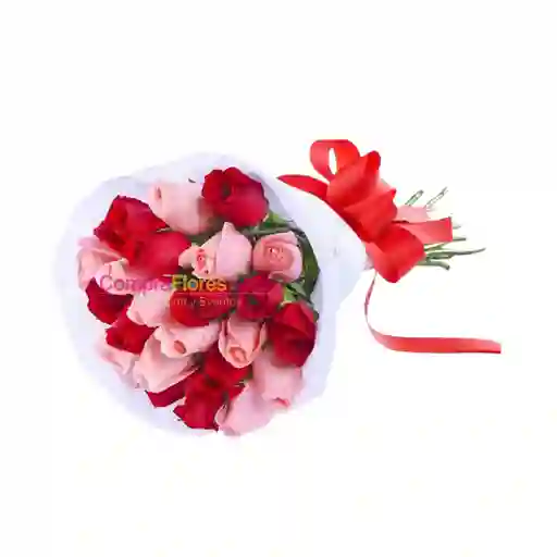 Bouquet De 24 Rosas