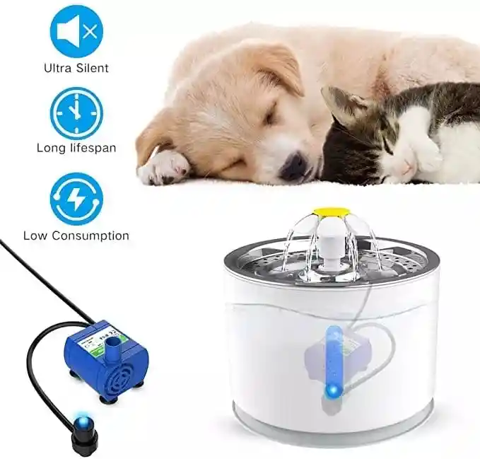 Fuente Con Luz Led Para Perros Y Gatos