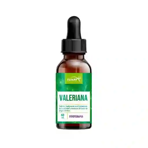 Extracto Valeriana 60 Ml