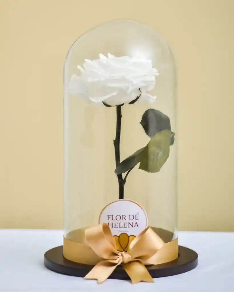 Rosa Preservada Blanca