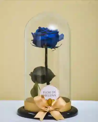 Rosa Preservada Azul Rey