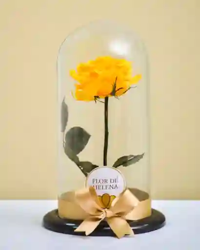 Rosa Preservada Amarilla