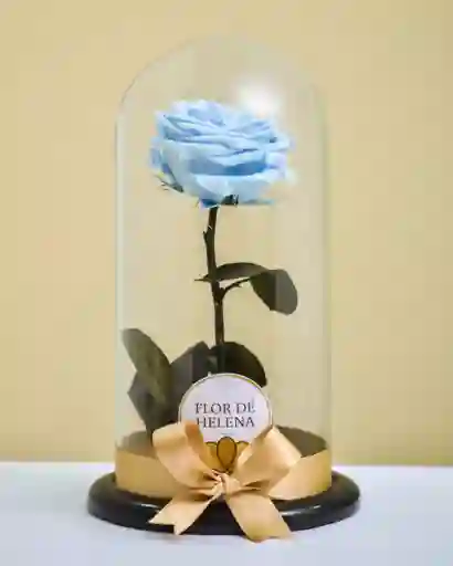 Rosa Preservada Celeste