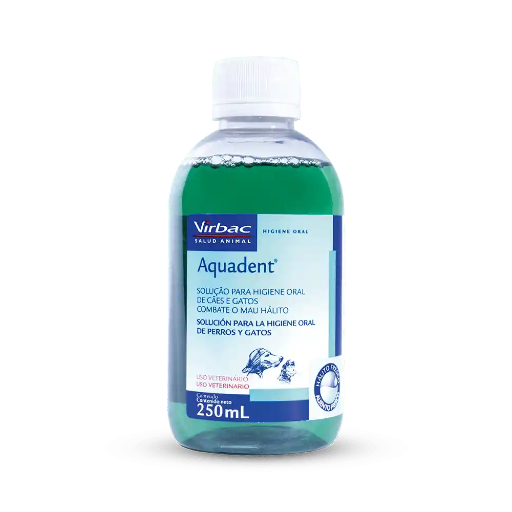 Aquadent X 250 Ml