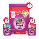 Whiskas Comida Para Gatitobulto Carne 1.4kg + Comida Humeda Mx