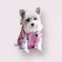 Chubasquero Impermeable Rosado Forrado Para Perro