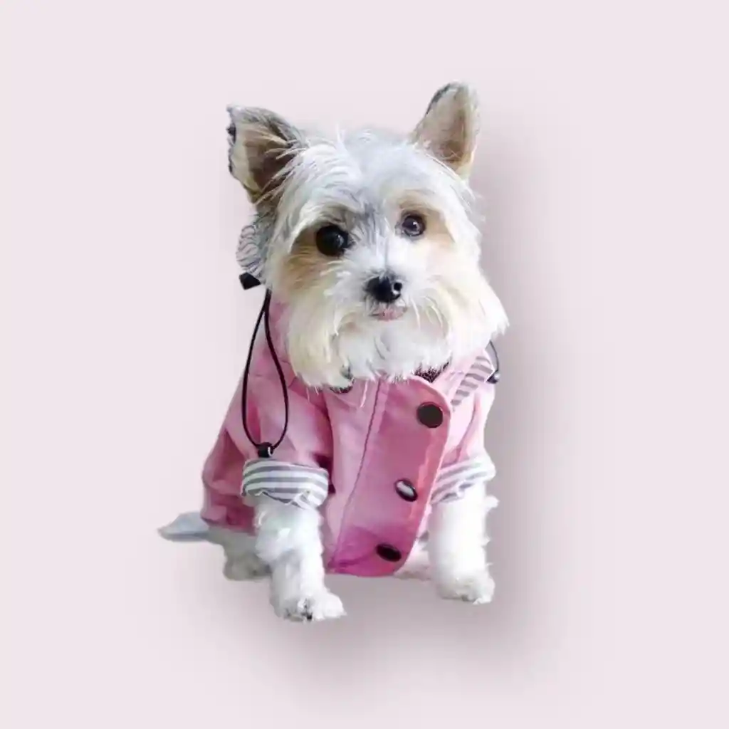 Chubasquero Impermeable Rosado Forrado Para Perro