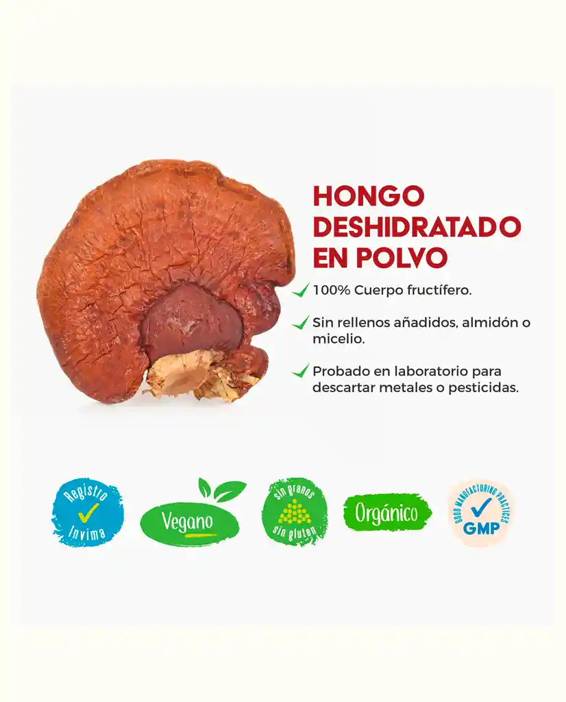 Galletas Para Perros Con Hongos Funcionales Vitalpets 10 Unds