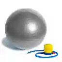 Balón Pilates 55 Cm Pelota Abdominal Yoga Terapia + Inflador - Gris