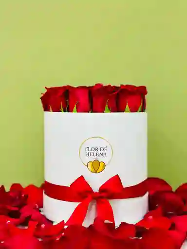Flower Box Flor De Helena