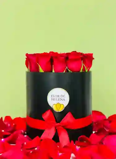 Flower Box Flor De Helena