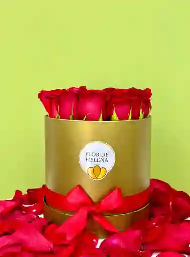 Flower Box Flor De Helena