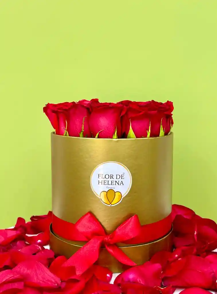 Flower Box Flor De Helena