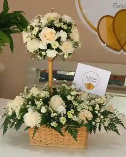 Topiario Flor De Helena