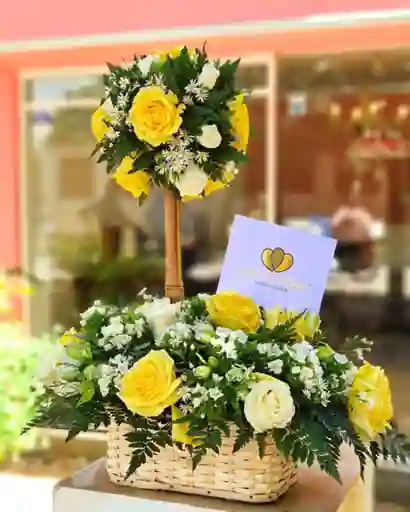 Topiario Flor De Helena