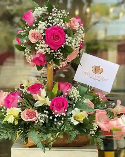 Topiario Flor De Helena