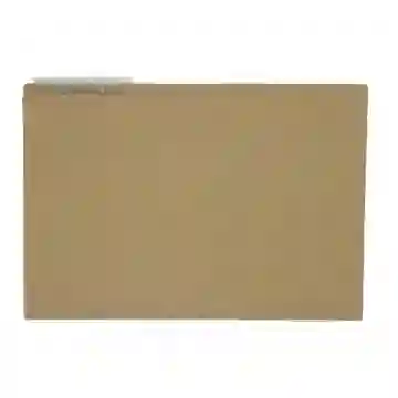 Folder Celujia Tamaño Oficio * Und