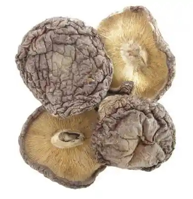 Hongos Shiitake Granel