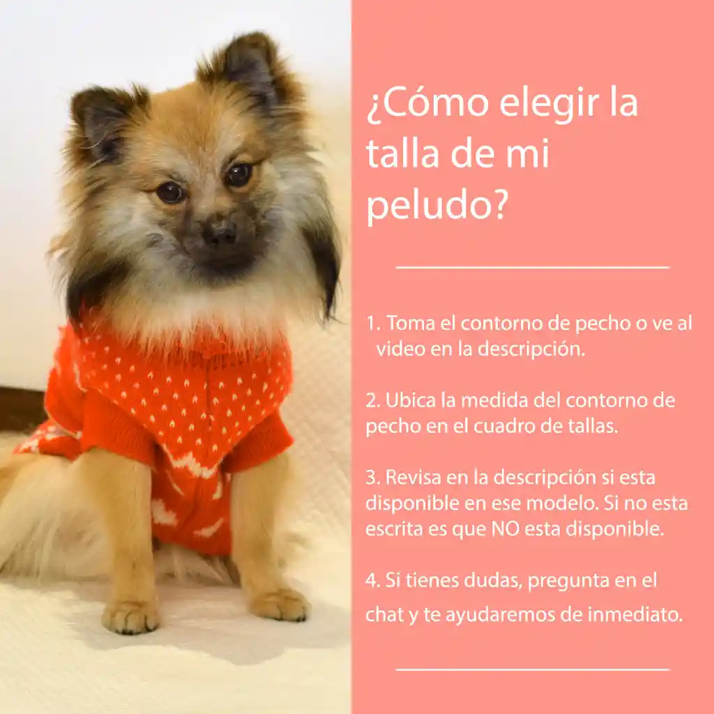 Camisa De Perro O Gato Flamenco Verano