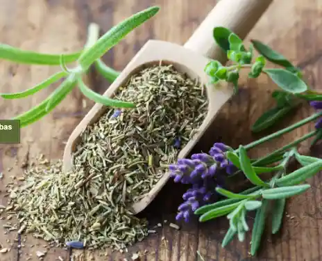 Hierbas De Provenza Granel