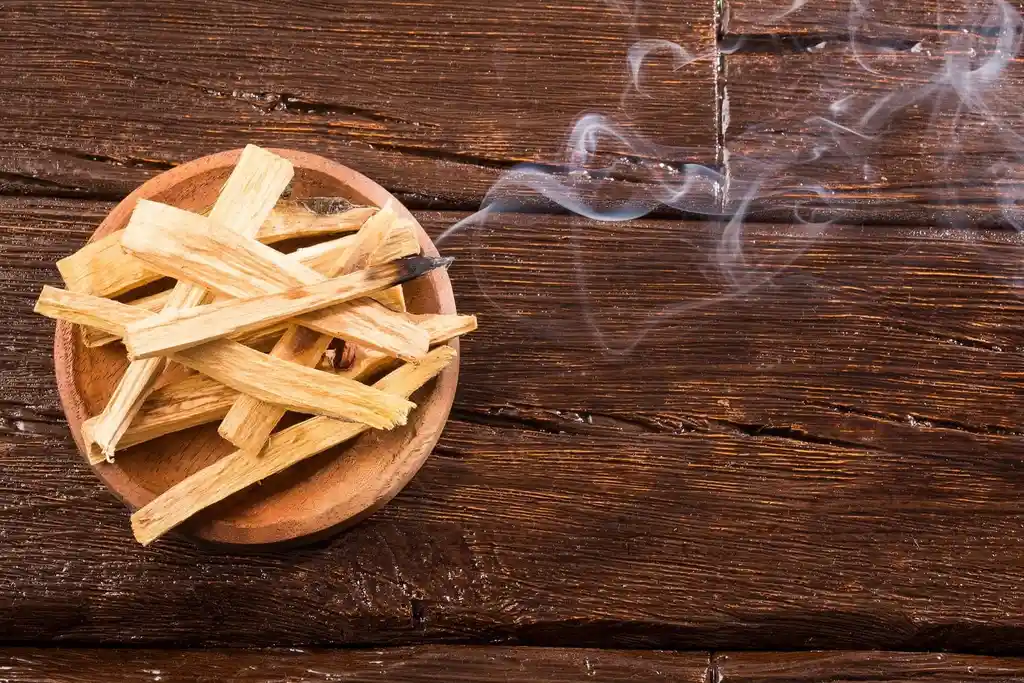 Palo Santo Sahumerio Incienso