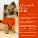 Ropa Para Perro O Gato Saco Sweater Osito Bordado Rojo