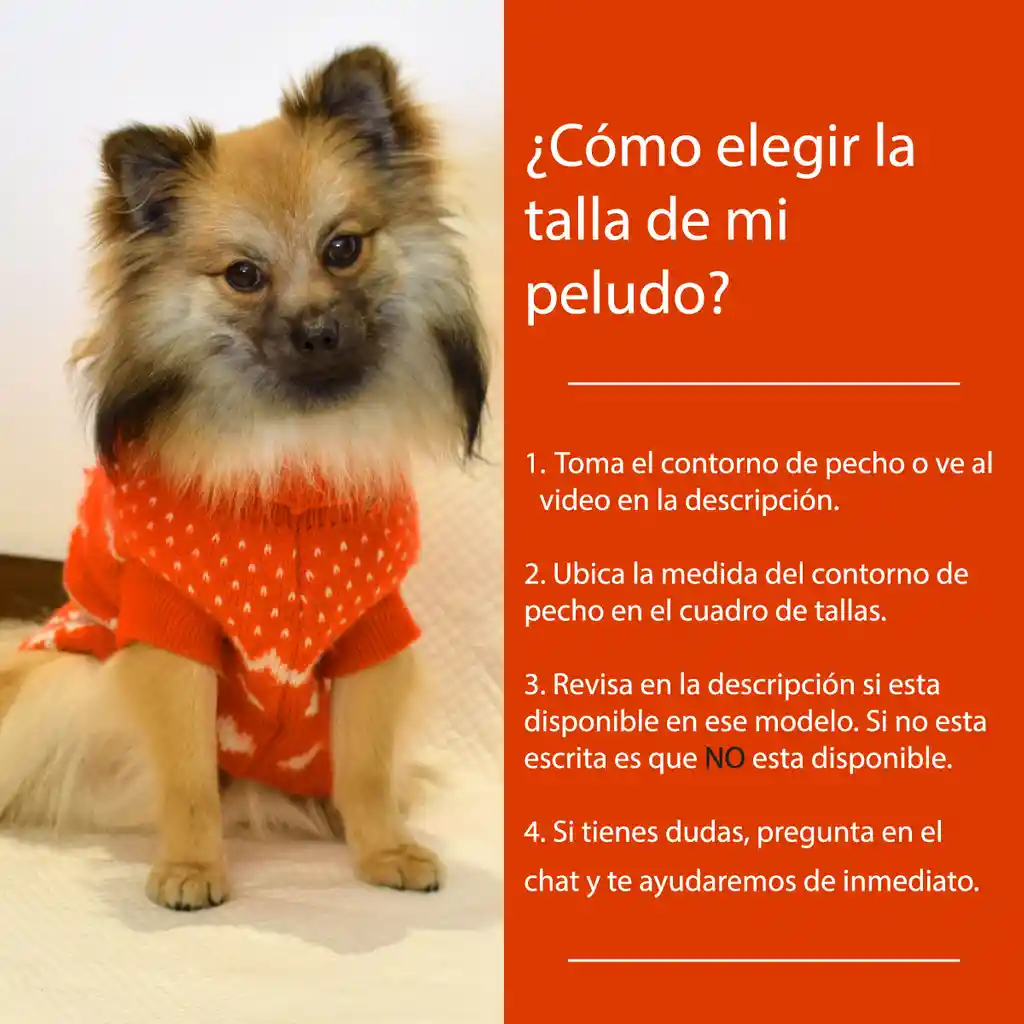 Ropa Para Perro O Gato Saco Sweater Osito Bordado Rojo