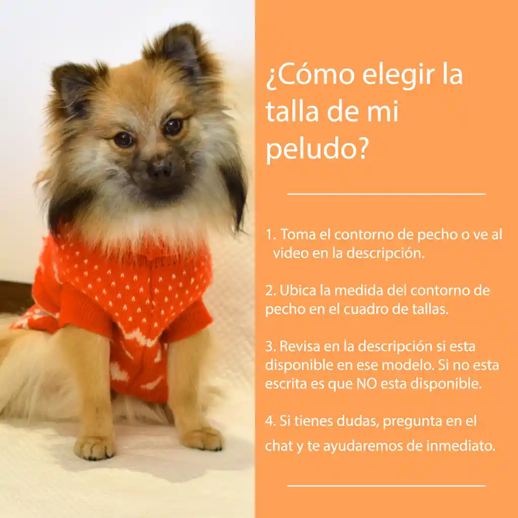 Ropa Para Perro O Gato Saco Sweater Osito Bordado Beigue