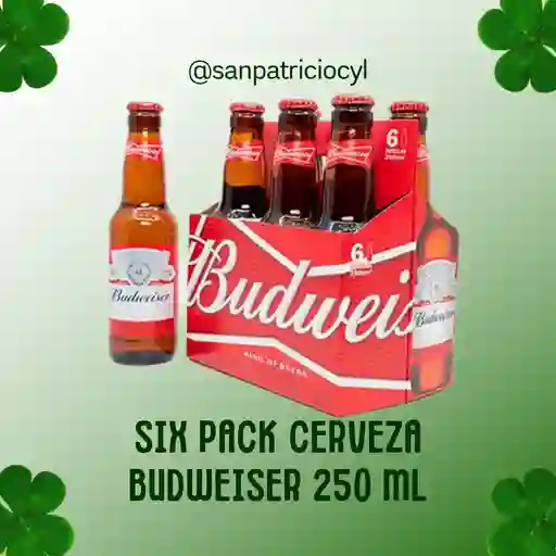 Cerveza Budweiser Botella
