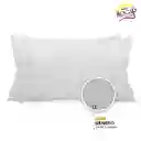 Almohada Kit X2 Ecomax 40 X 60 Cms Gris