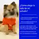 Ropa Saco Pato Donald Para Perro O Gato - Peludos Pequeños Y Hasta 9kg