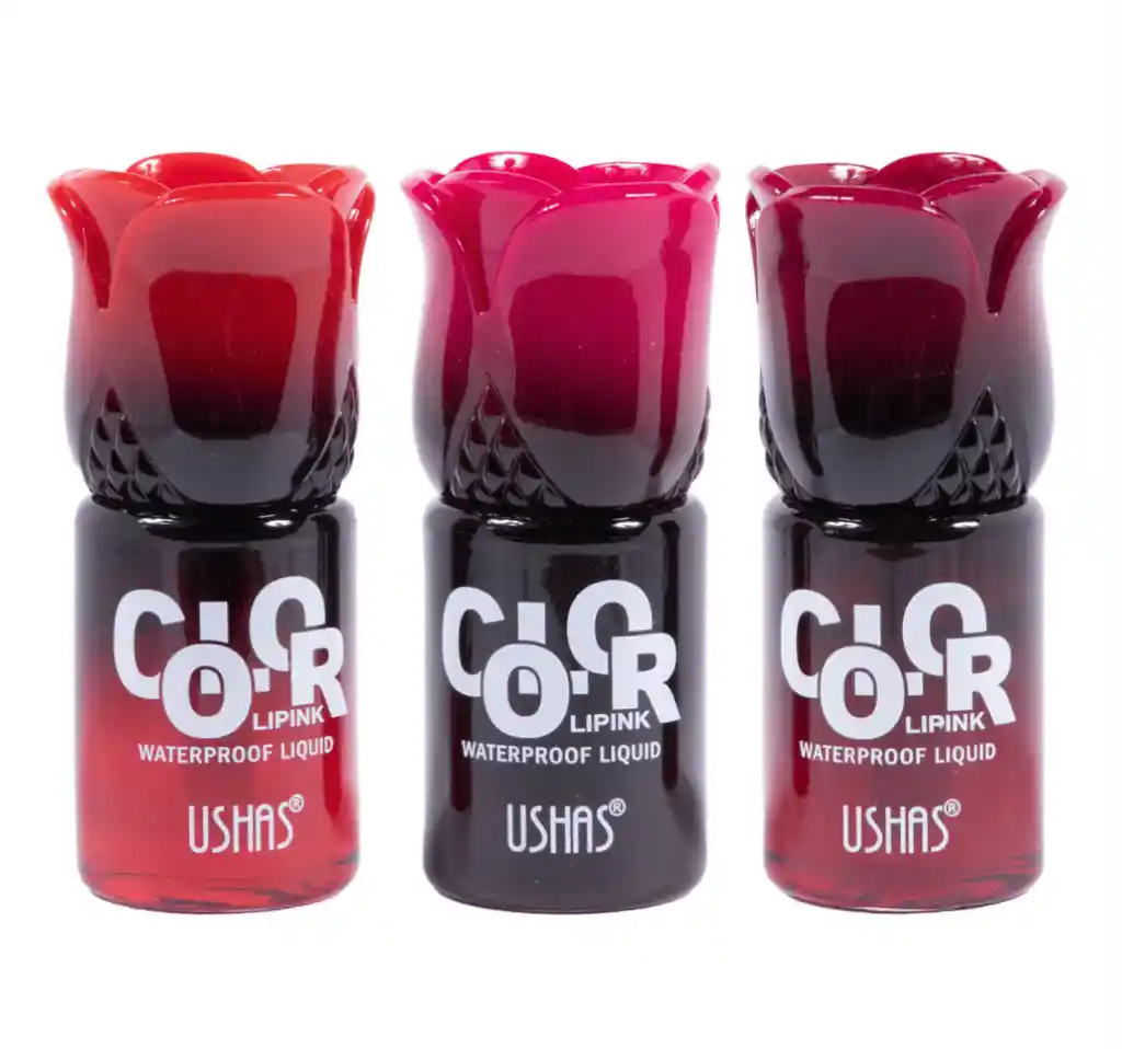  Tinta Color Lipink USHAS Ref Lg2447 