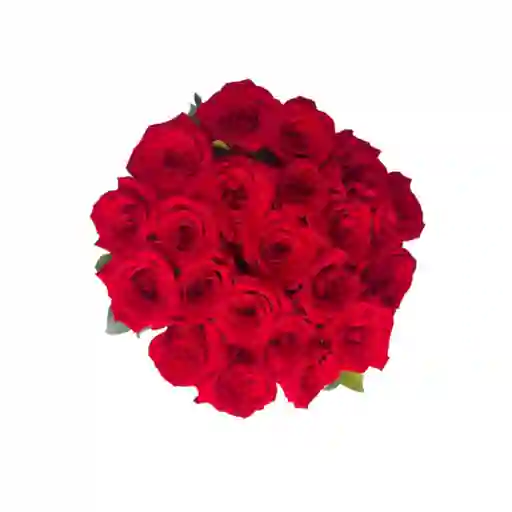 24 Rosas Rojas Para Tu Hogar