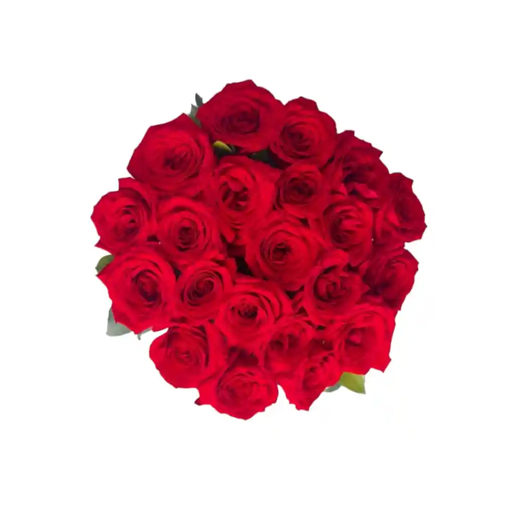 24 Rosas Rojas Para Tu Hogar