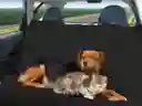 Pet Seat Cover Forro Protector Sillas Para Carro Mascotas