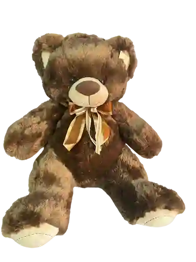 Peluche De Oso 50cm De Alto