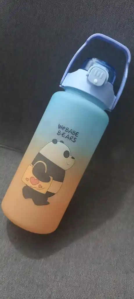 Botilo De Agua