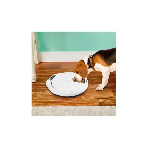 Alimentador Automático Para Perros Y Gatos Pawise