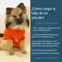Ropa Para Perro O Gato Saco Sweater Verde Con Capota Y Hebilla