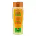 CANTU shampoo aguacate